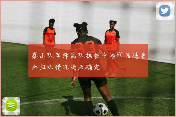 泰山队军师离队执教今治FC马德鲁加归队情况尚未确定